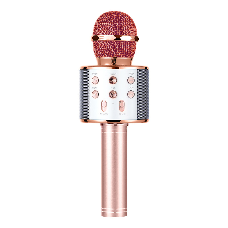 Portable wireless Microphone karaoke supporting TF card